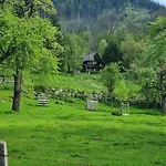 Ferienhaus Chalet Grosssoelk