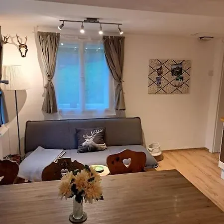 Ferienhaus Chalet Grosssoelk *