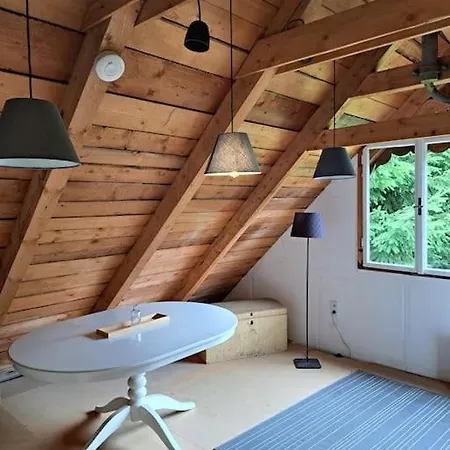 Hébergement de vacances Ferienhaus Chalet Grosssoelk *