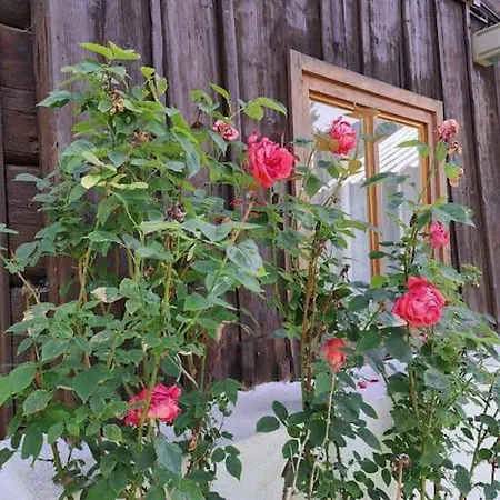 Ferienhaus Chalet Grosssoelk *