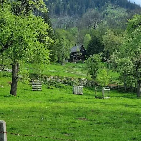 Ferienhaus Chalet Grosssoelk
