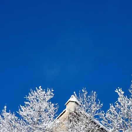 Ferienhaus Chalet Grosssoelk *
