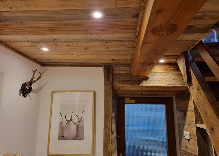 度假居 Ferienhaus Chalet Grosssoelk *