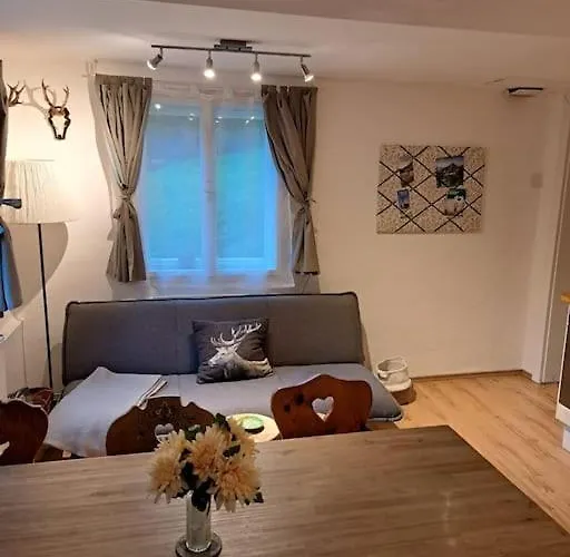 Ferienhaus Chalet Grosssoelk *