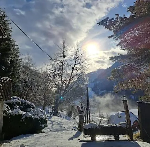 Ferienhaus Chalet Grosssoelk 度假居 *