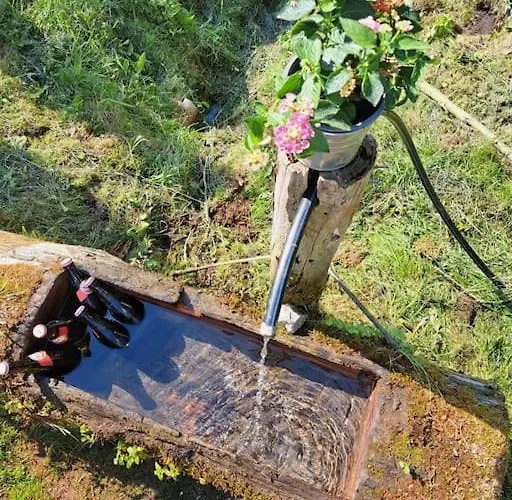 Ferienhaus Chalet Grosssoelk 度假居