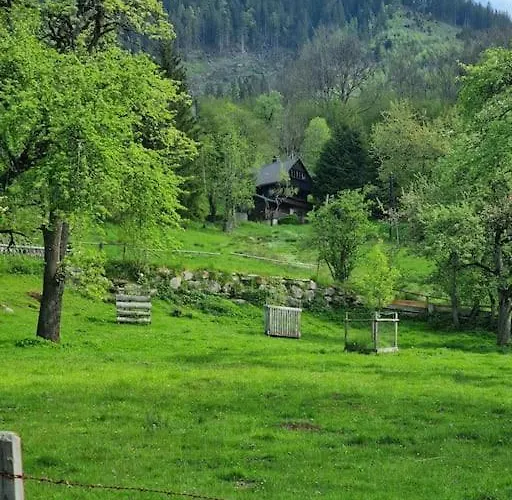 Ferienhaus Chalet Grosssoelk