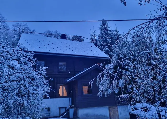 Ferienhaus Chalet Grosssoelk 度假居 *