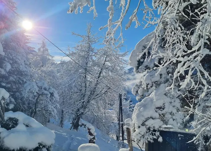 Ferienhaus Chalet Grosssoelk 度假居 *