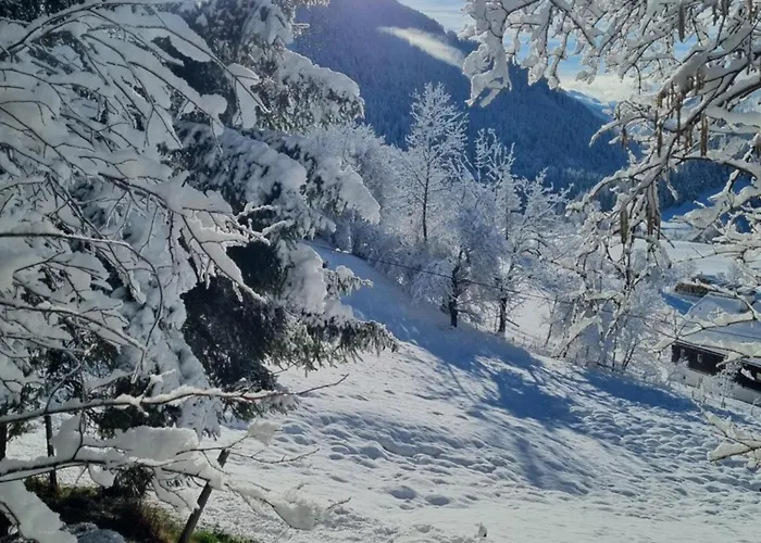 Ferienhaus Chalet Grosssoelk